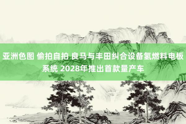 亚洲色图 偷拍自拍 良马与丰田纠合设备氢燃料电板系统 2028年推出首款量产车