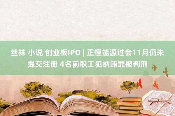 丝袜 小说 创业板IPO | 正恒能源过会11月仍未提交注册 4名前职工犯纳贿罪被判刑