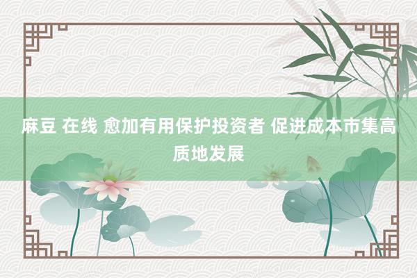 麻豆 在线 愈加有用保护投资者 促进成本市集高质地发展