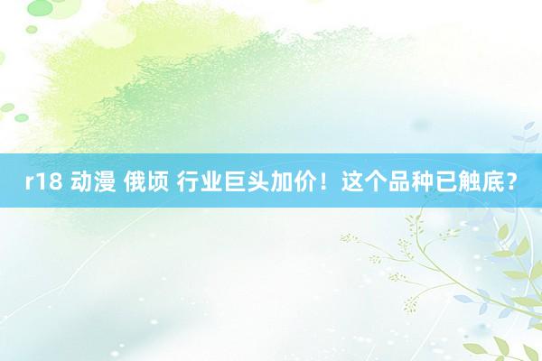 r18 动漫 俄顷 行业巨头加价！这个品种已触底？