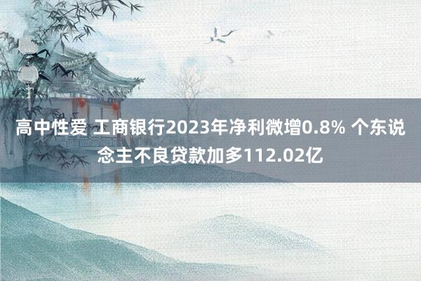 高中性爱 工商银行2023年净利微增0.8% 个东说念主不良贷款加多112.02亿