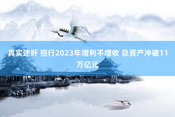 真实迷奸 招行2023年增利不增收 总资产冲破11万亿元