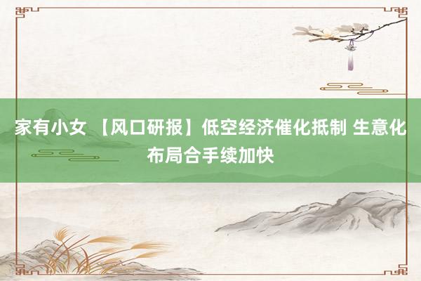 家有小女 【风口研报】低空经济催化抵制 生意化布局合手续加快